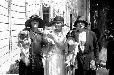 au Royaume D'ultra - photo de chien année 1925