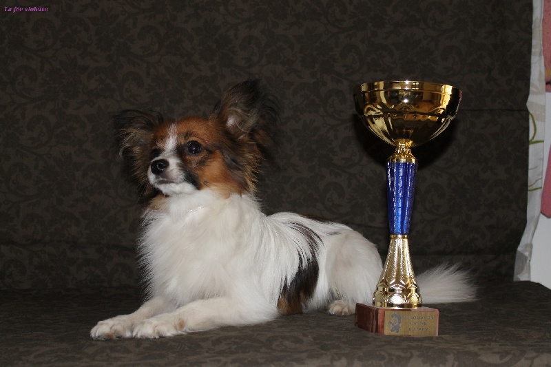 Isadis-golby au Royaume D'ultra