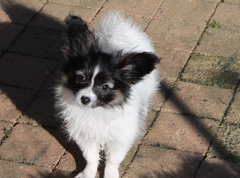 Jewel-dorothée au Royaume D'ultra