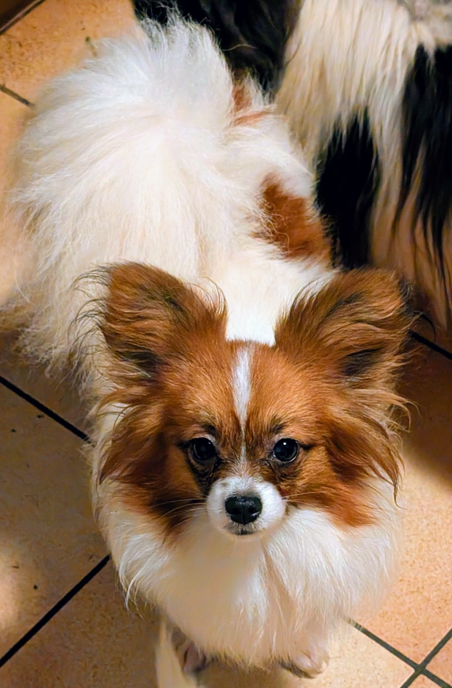 Valmy-tyffanie au Royaume D'ultra