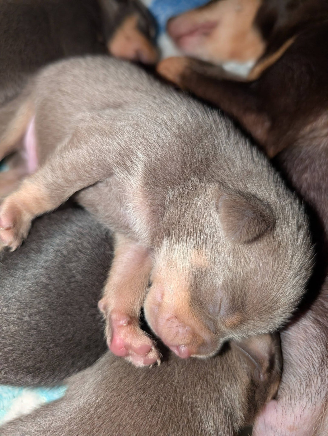 au Royaume D'ultra - 16 jours