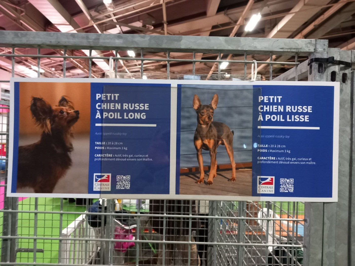 Salon de l'agriculture 2026