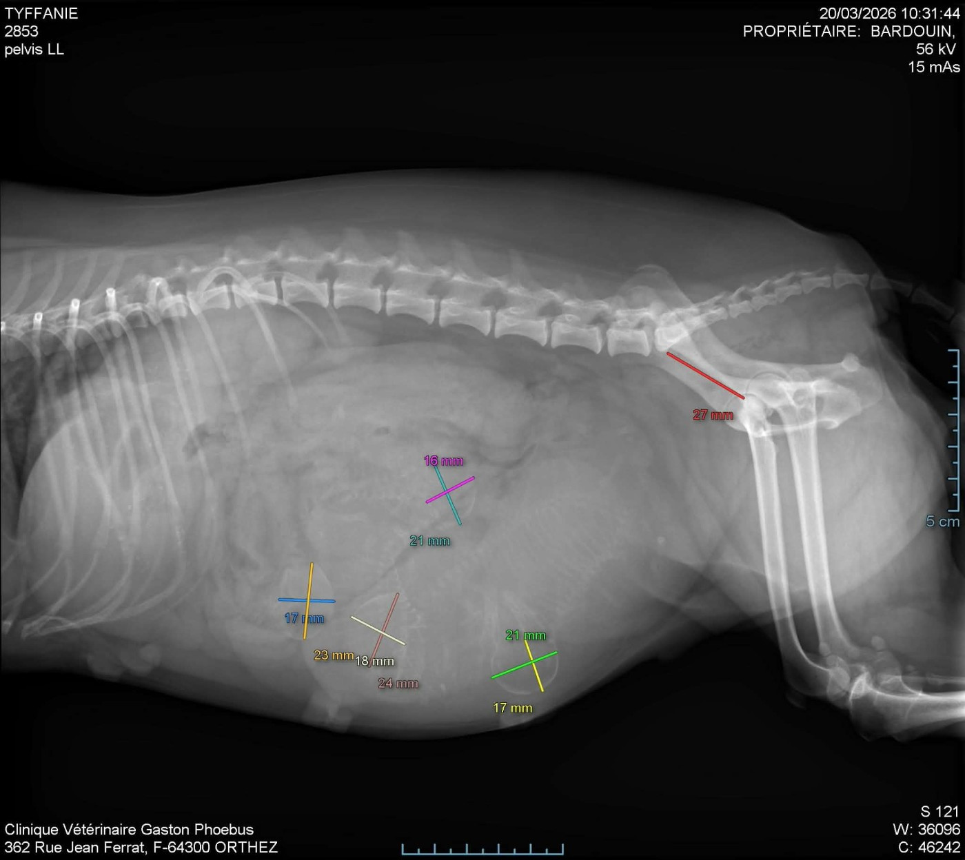 Pour la semaine prochaine