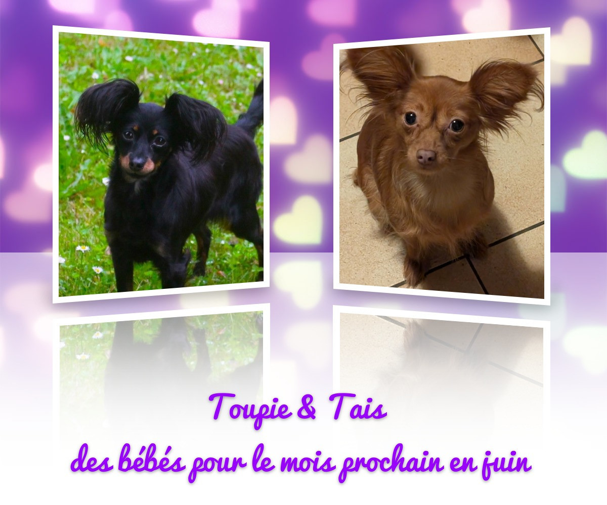 bientot des bibis